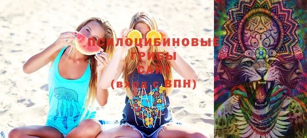 мдпв Гусь-Хрустальный